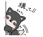 862772163
