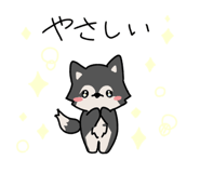 862772168