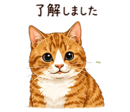 862780826