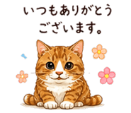 862780856
