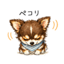 862781579