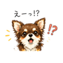 862781581