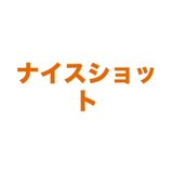862795821