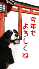 8627986