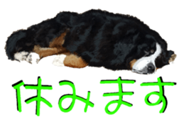 8627991