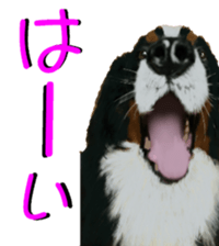 8627993