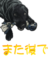 8627995