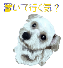 8627998