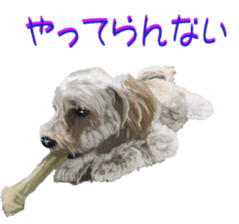 8627999