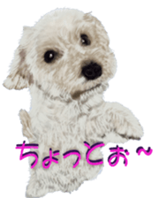 8628000