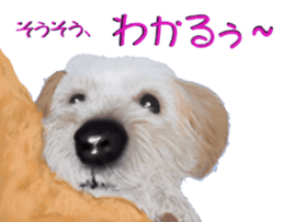 8628001