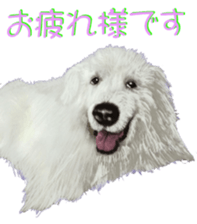 8628007