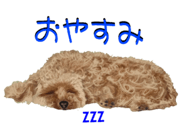 8628012