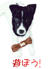 8628013