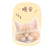 862803022