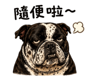 862804311