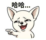 862805962