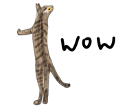 862806150