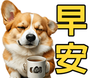 862806402
