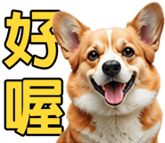 862806406