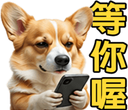 862806408