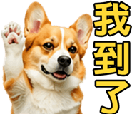 862806409