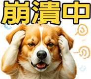 862806424