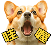 862806426