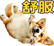 862806435