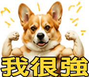 862806437