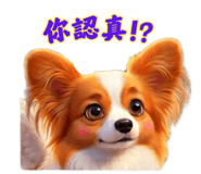 862806707