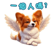 862806711