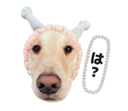 862807060