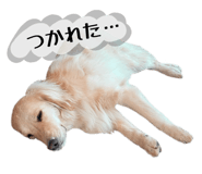 862807061