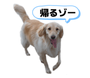 862807062