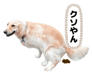862807064