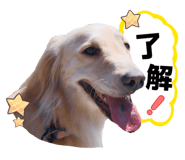 862807066