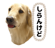 862807070