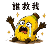 862810953