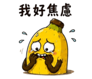 862810976