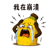 862810981