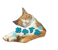 862849077