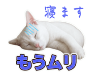 862849222