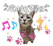 862851872