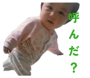 862852118