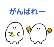 862852447