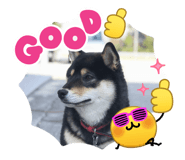 862853323