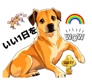 862853837