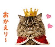 862854126