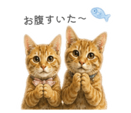 862854306